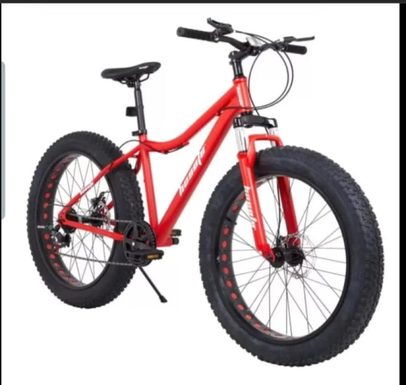 LEBRONY 26 INCH GENERIC BICYCLE 26 INCH BICYCLE 26 inch (21 Gear, Red)