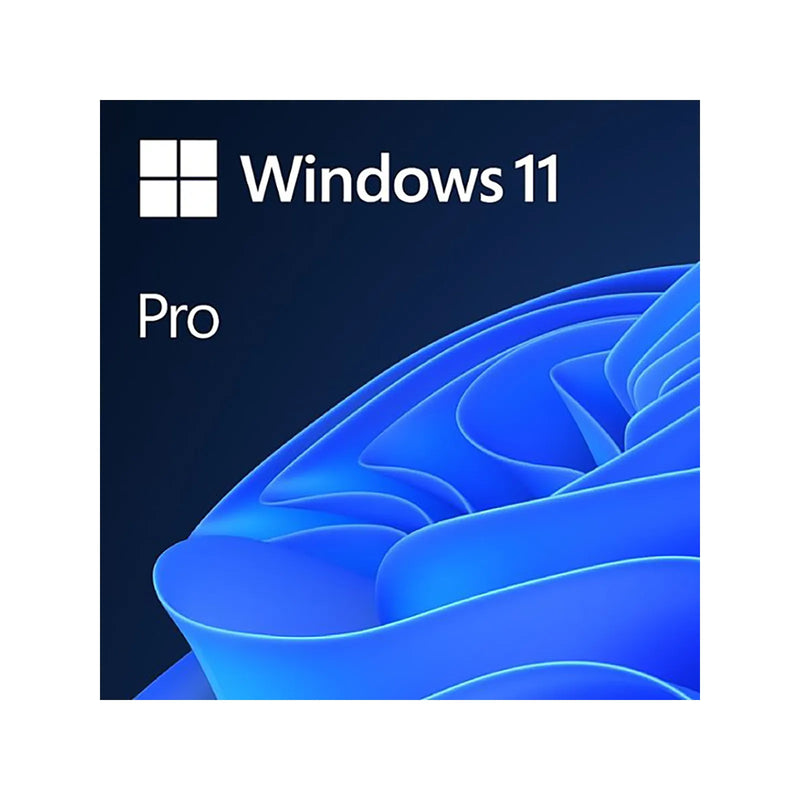 MICROSOFT WINDOWS11 PRO ESD