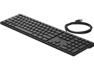 HP USB WIRED DESKTOP 320K KEYBOARD (BULK12)