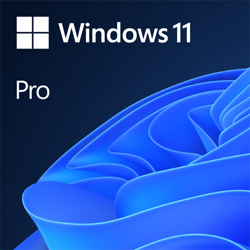 Microsoft Windows 11 Professional Single-User DVD License