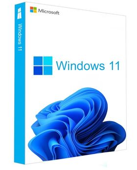 MICROSOFT WINDOWS 11 HOME - FPP 64-BIT USB