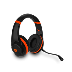 Multiformat Stereo Gaming Headset - Raptor
