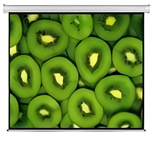 Electric Projector Screen 300 X 169