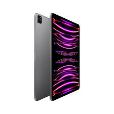 Apple iPad Pro W&C 12.9 1TB Space Grey