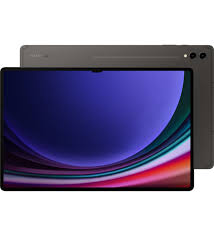 Samsung Galaxy Tab S9 Ultra 5G 256GB DS Gray