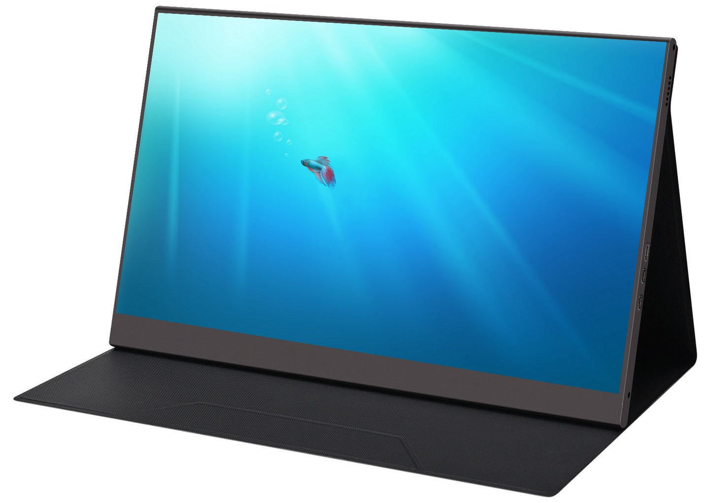 Mecer 15.6'' IPS FHD USB Monitor Non-Touch Aluminium/ 16:9/ 4MS/250CD/M2/ Type C X2/ Mini HDMI X1 W/Smart Cover.