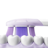 Xiaomi Oscillation Electric Toothbrush Pro Replacement Heads (soft) image 6