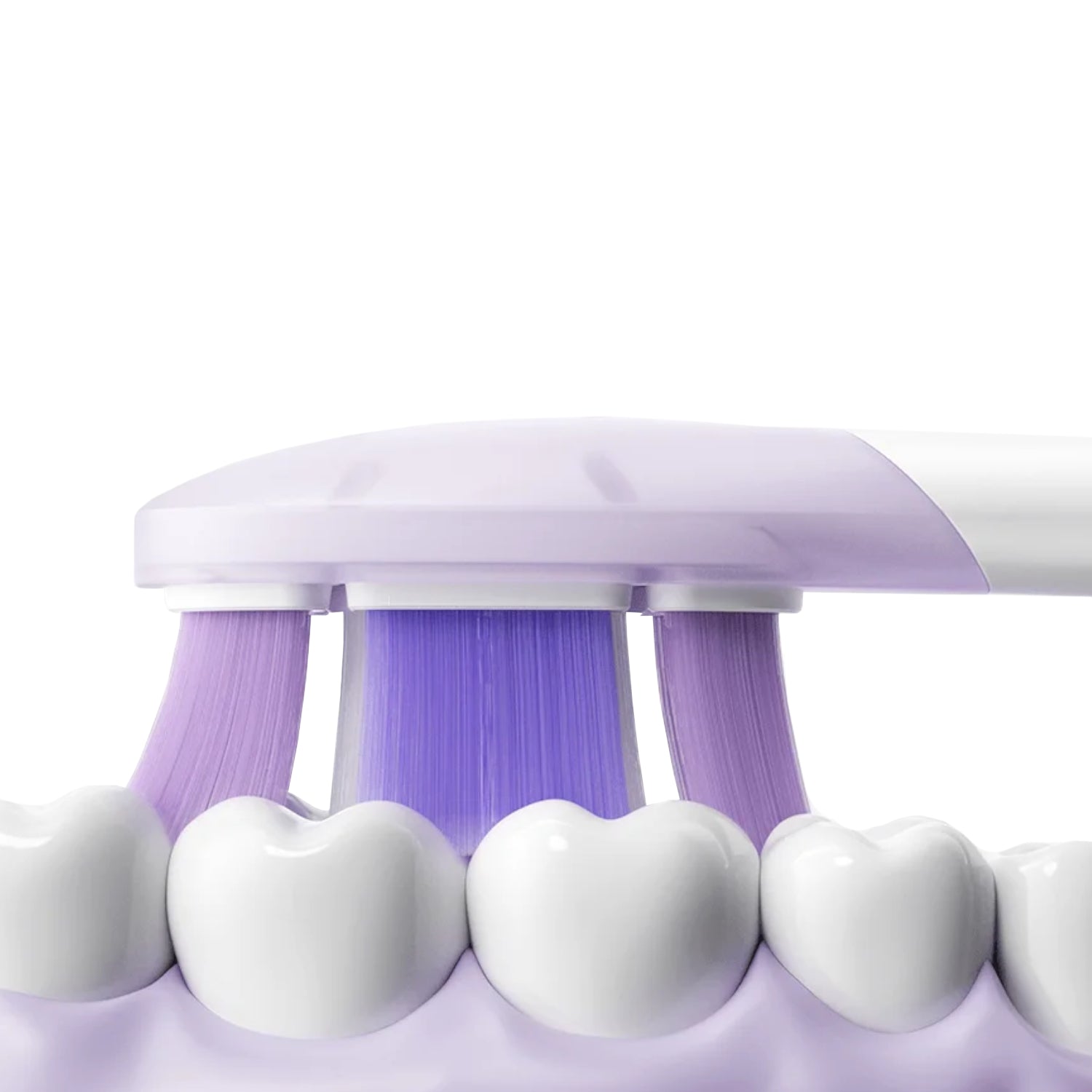 Xiaomi Oscillation Electric Toothbrush Pro Replacement Heads (soft) image 6