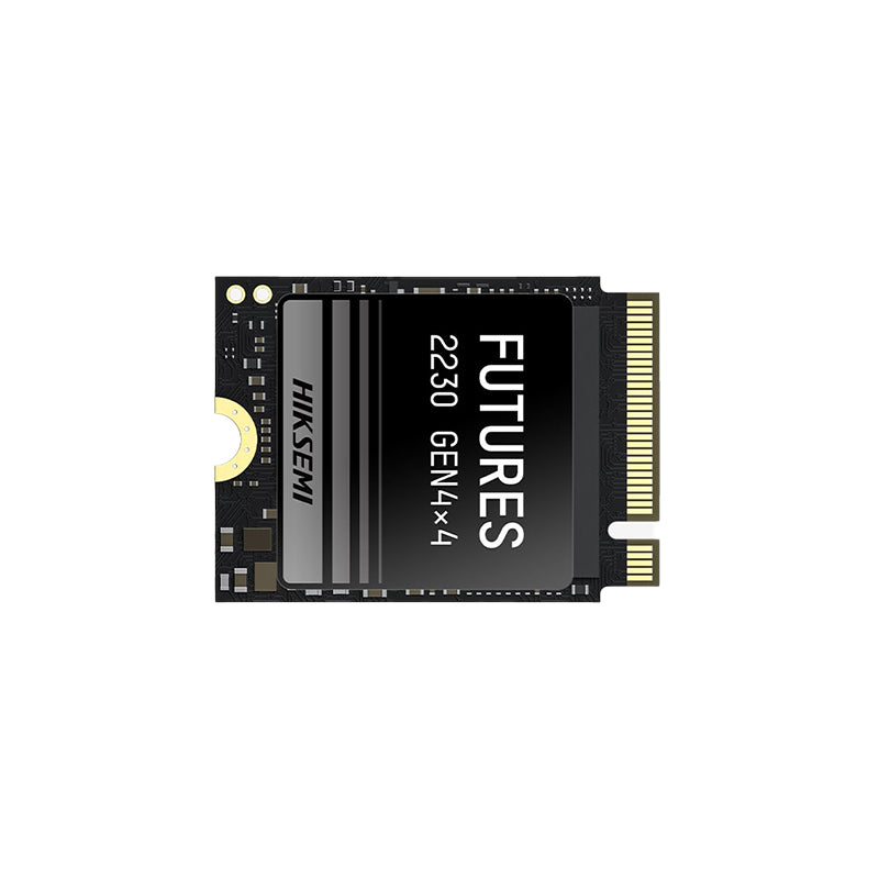 Hiksemi Future S 1TB M.2 NVME 2230 Solid State Drive