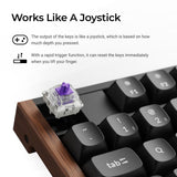 Keychron K10 He 100% Wireless Magnetic Gaming Keyboard Nebula Switches – Black image 4