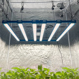 Kingbrite P55 480W Bar Grow Light With Uv+ir |samsung LM281B image 5