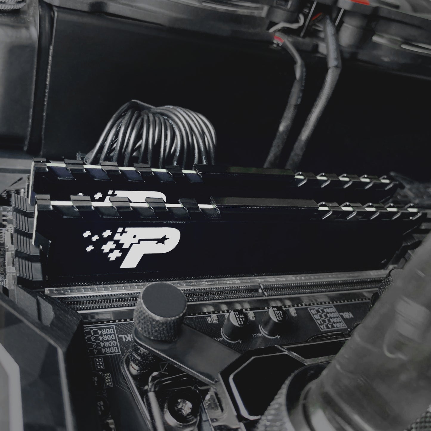Patriot Signature Premium Line DDR4 16GB 3200MHZ Udimm image 5