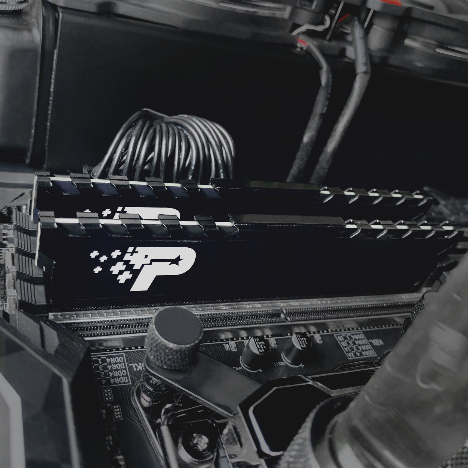 Patriot Signature Premium Line DDR4 16GB 3200MHZ Udimm image 5