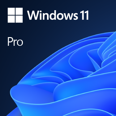 Microsoft Microsoft Windows 11 Pro 64BIT Dsp